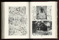 《日本地理風俗大系-  第十五卷 臺灣篇》藏品圖，第60張