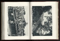 《日本地理風俗大系-  第十五卷 臺灣篇》藏品圖，第64張