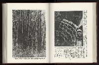 《日本地理風俗大系-  第十五卷 臺灣篇》藏品圖，第87張