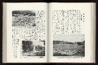 《日本地理風俗大系-  第十五卷 臺灣篇》藏品圖，第124張