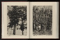 《日本地理風俗大系-  第十五卷 臺灣篇》藏品圖，第182張