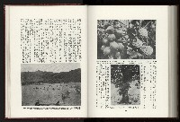 《日本地理風俗大系-  第十五卷 臺灣篇》藏品圖，第199張