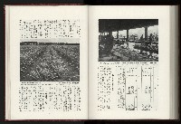 《日本地理風俗大系-  第十五卷 臺灣篇》藏品圖，第203張