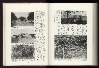 《日本地理風俗大系-  第十五卷 臺灣篇》藏品圖，第204張