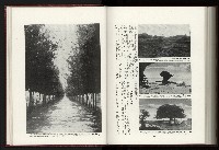 《日本地理風俗大系-  第十五卷 臺灣篇》藏品圖，第206張