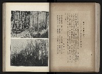 《臺灣寫真帖》藏品圖，第61張