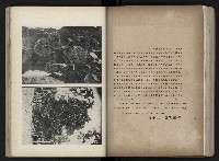 《臺灣寫真帖》藏品圖，第72張