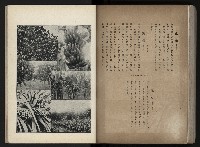 《臺灣寫真帖》藏品圖，第98張