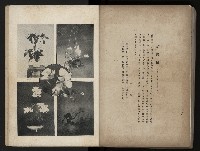 《臺灣寫真帖》藏品圖，第107張