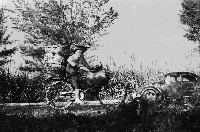 高雄郊區騎著腳踏車的農婦藏品圖，第1張