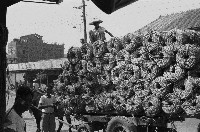 裝載草繩的牛車藏品圖，第1張