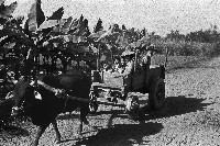 坐牛車的母親和孩子藏品圖，第1張