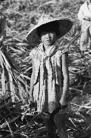 在甘蔗田裡的女童-1藏品圖，第1張