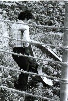 高雄鄉間農作景象-5藏品圖，第1張