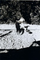 高雄鄉間農作景象-6藏品圖，第1張