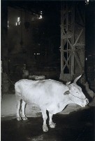 唐榮鐵工廠股份有限公司工作場景-59藏品圖，第1張