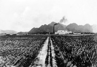 臺灣製糖株式會社旗尾製糖所藏品圖，第1張