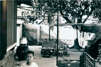 高雄日式房舍庭院景觀-2藏品圖，第1張