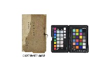 《在於東京 高雄の芭蕉》藏品圖，第1張