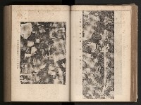 《臺灣省民意機關之建立》藏品圖，第67張