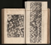 《臺灣省民意機關之建立》藏品圖，第68張