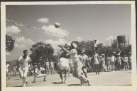 高雄縣杉林鄉聯合運動會－打排球藏品圖，第1張