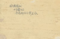 林園國校三年愛班師生合影留念藏品圖，第2張