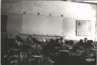 鳳鳴國小課程教學-15藏品圖，第1張