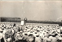 鳳鳴國小升旗集會-5藏品圖，第1張