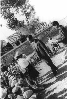 鳳鳴國小頒獎-3藏品圖，第1張