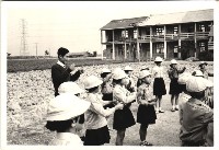 鳳鳴國小學藝活動藏品圖，第1張