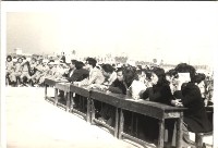 鳳鳴國小評審老師們-2藏品圖，第1張