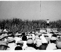 鳳鳴國小學藝競賽-7藏品圖，第1張