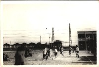 鳳鳴國小社區排球賽-1藏品圖，第1張