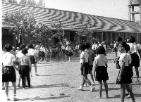 鳳鳴國小體育競賽-4藏品圖，第1張