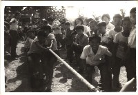 鳳鳴國小體育競賽-7藏品圖，第1張