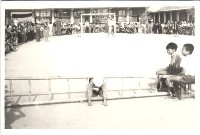 鳳鳴國小體育競賽-15藏品圖，第1張