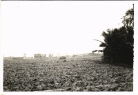 鳳鳴國小校園景觀-6藏品圖，第1張