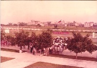 校外活動-2藏品圖，第1張