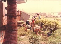 阿兵哥協助種植花草藏品圖，第1張