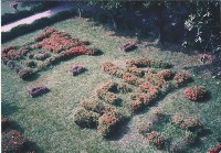 花草種植鳳鳴二字藏品圖，第1張