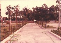 1970至1980年代校園景觀藏品圖，第1張