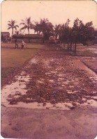 1970至1980年代校地整建-2藏品圖，第1張