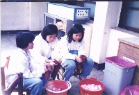 學生落實回收藏品圖，第1張