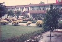 鳳鳴國小樹木被颱風吹倒藏品圖，第1張