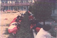 鳳鳴國小學生協助種植花圃藏品圖，第1張