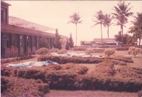 鳳鳴國小鳳鳴二字花圃近景藏品圖，第1張