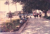 學生協助種植花圃藏品圖，第1張