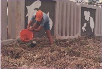 學生協助植栽藏品圖，第1張