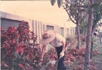 鳳鳴國小老師進行除草藏品圖，第1張